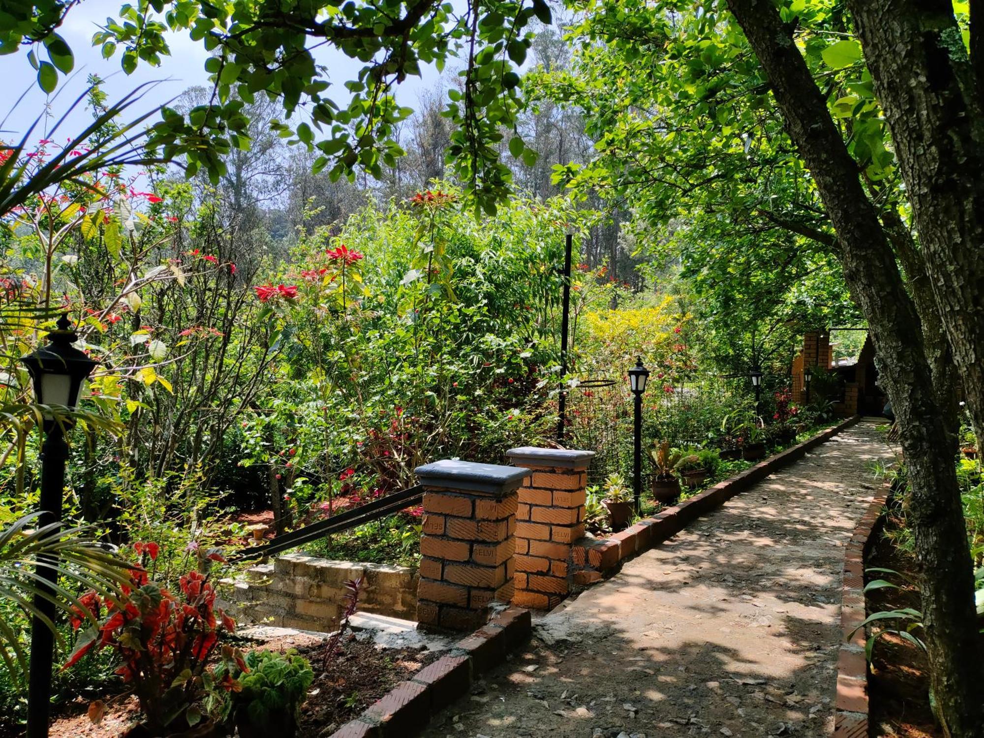 Pear Tree Entire 2Bhk Villa Kotagiri Exteriör bild