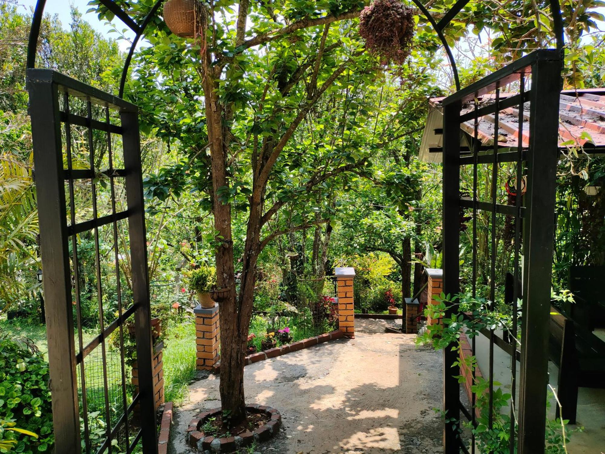 Pear Tree Entire 2Bhk Villa Kotagiri Exteriör bild