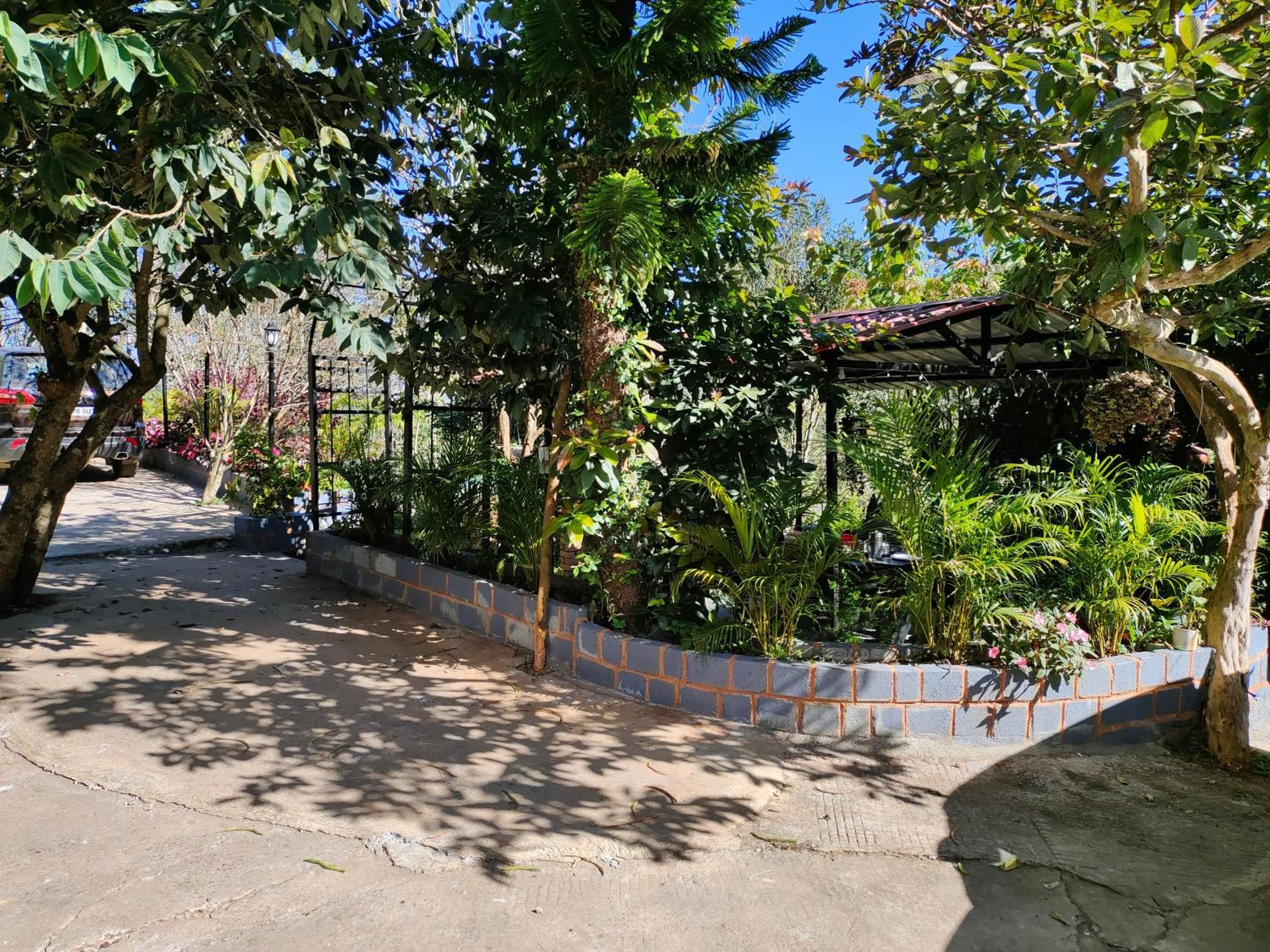 Pear Tree Entire 2Bhk Villa Kotagiri Exteriör bild