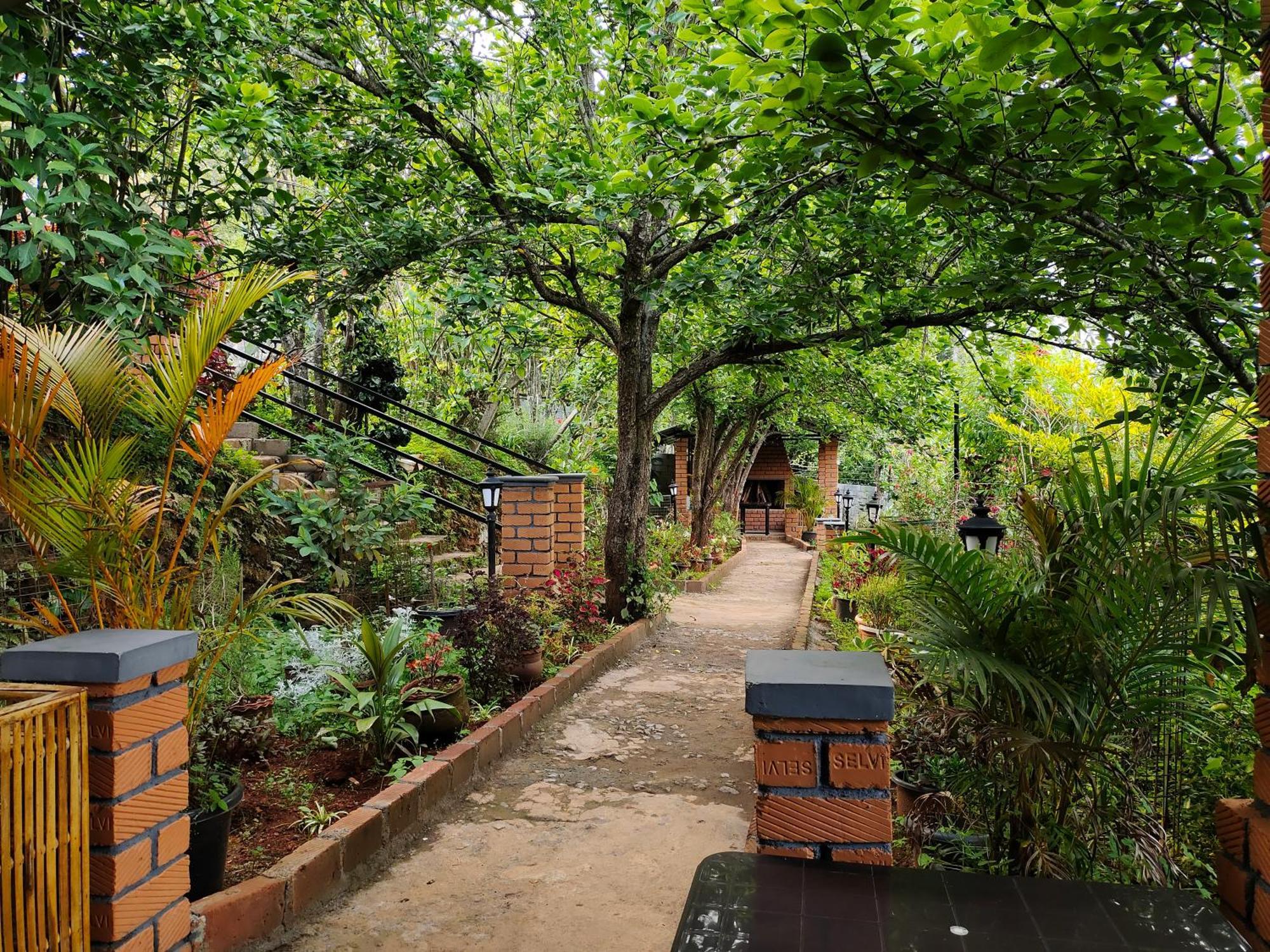 Pear Tree Entire 2Bhk Villa Kotagiri Exteriör bild